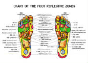 foot_reflexology.jpg
